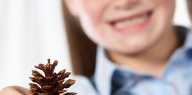 Jupiterimages/Photos.com/Getty Images The pinecone's various contours, shapes and sizes make it a craft kit must-have.