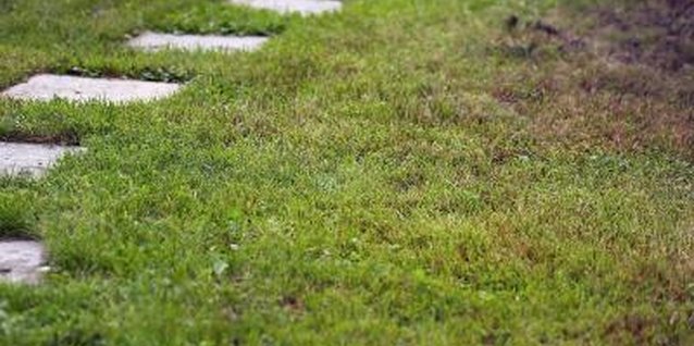 Photos.com/Photos.com/Getty Images Stepping stone pathways protect grass from the constant wear and tear of foot traffic.