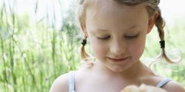 Jupiterimages/Brand X Pictures/Getty Images Teach your child to care for and protect baby birds.
