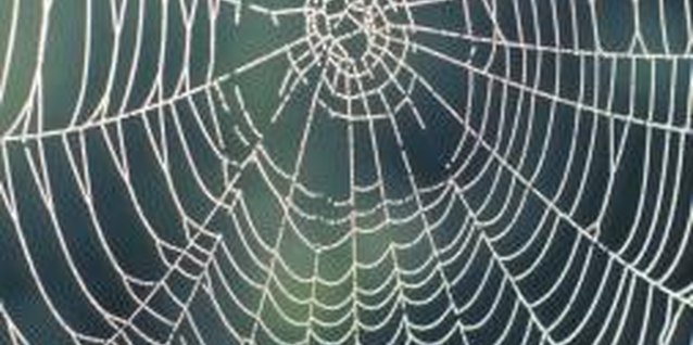 Hemera Technologies/AbleStock.com/Getty Images Create your own spiderweb decor for Halloween.