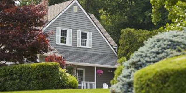 Comstock Images/Comstock/Getty Images Buxus hedges help create private spaces in your yard.