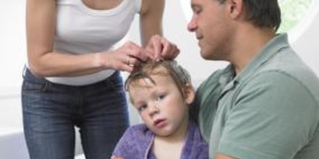 BananaStock/BananaStock/Getty Images Sanitation is crucial to getting rid of lice and preventing a reinfestation.