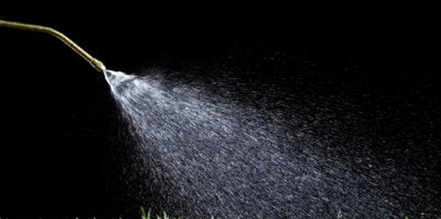 Thomas Northcut/Lifesize/Getty Images Apply Dylox to lawns to control root and surface feeding pests.