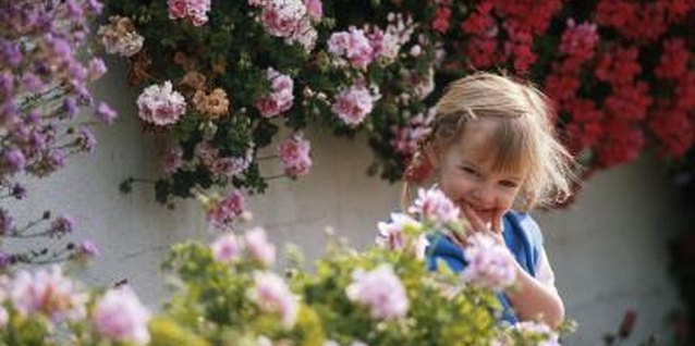David De Lossy/Photodisc/Getty Images Most garden plants aren’t poisonous, but you should still exercise caution.