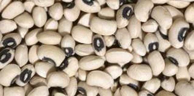 Hemera Technologies/AbleStock.com/Getty Images Black-eyed pea plants thrive even during the hottest part of summer.