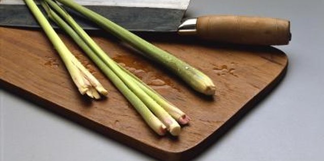 Jupiterimages/Comstock/Getty Images Continually harvesting whole stalks will help keep the plant under control.