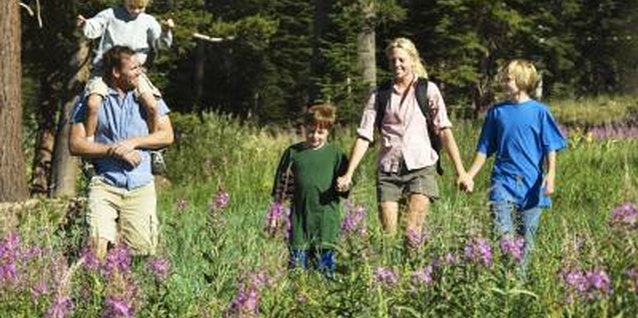 Jupiterimages/Comstock/Getty Images The San Francisco Peninsula offers kid-friendly hikes through forest, grasses and wetlands.