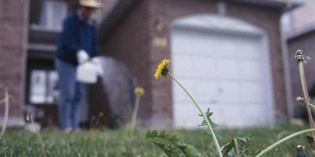 Hemera Technologies/Photos.com/Getty Images Use natural methods to rid your yard of weeds.