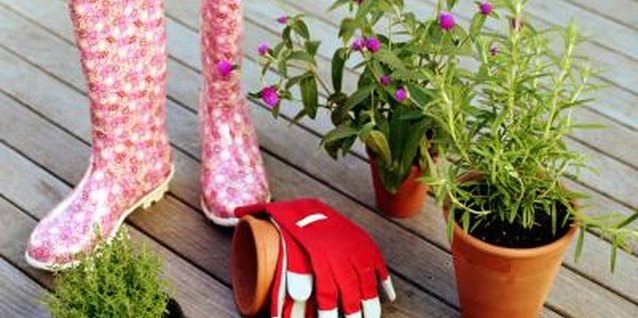 Digital Vision/Digital Vision/Getty Images Potted flowers used as centerpieces can have a second life as part of your landscaping.