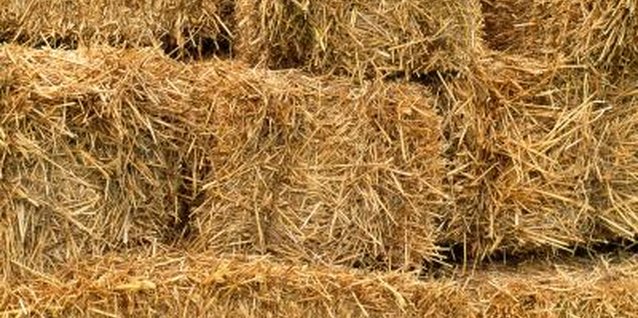 Jupiterimages/Photos.com/Getty Images Hay bales fit the theme at a cowboy party.
