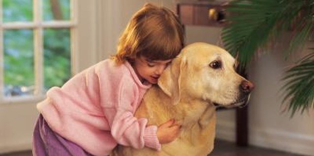 Comstock/Comstock/Getty Images Teaching her how to properly interact with animals will help her learn empathy and love.