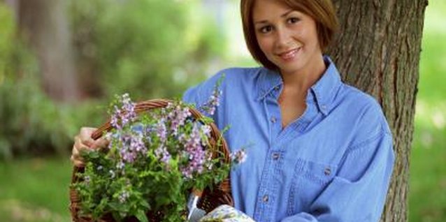 Jupiterimages/liquidlibrary/Getty Images Baskets make attractive planters for spring flower arrangements.
