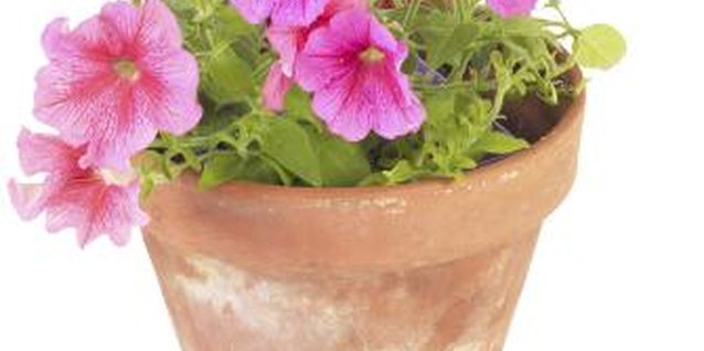 Hemera Technologies/PhotoObjects.net/Getty Images Use flowerpots that match or complement the colors of your home.