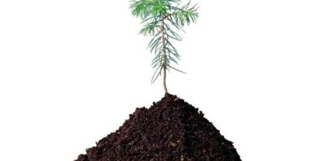 Ryan McVay/Photodisc/Getty Images Potting soil can contain a confusingly wide range of ingredients.