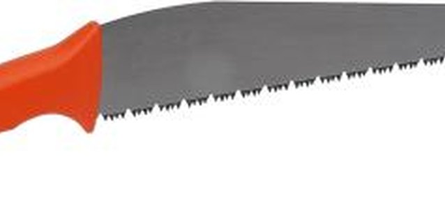 Zedcor Wholly Owned/PhotoObjects.net/Getty Images Use sharp tools to make clean pruning cuts.