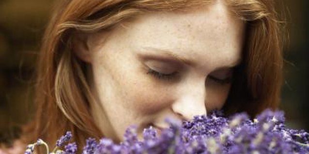 Tay Jnr/Digital Vision/Getty Images Lavender bears fragrant flowers and is an excellent choice for poor, alkaline soil.