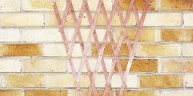 Martin Poole/Digital Vision/Getty Images Trellises allow for more growing space.