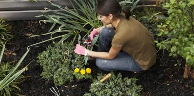 Chris Clinton/Digital Vision/Getty Images Mixed fertilizers provide essential nutrients to increase the health and size of garden plants.