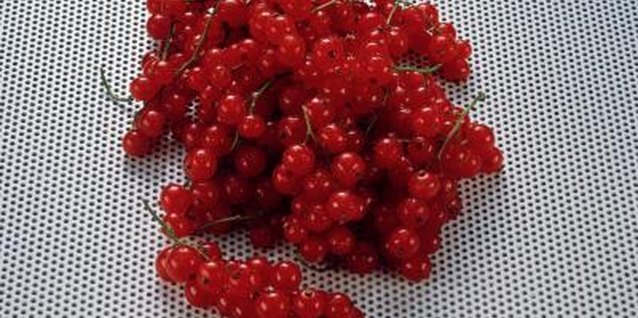 Eising/Photodisc/Getty Images Currant shrubs are typically productive if you can fend off powdery mildew.