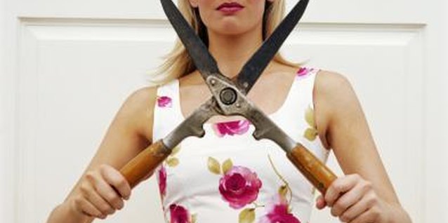 Digital Vision/Digital Vision/Getty Images If you want to keep mulberry small, get out your shears.