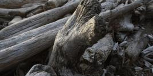 Thomas Northcut/Photodisc/Getty Images Driftwood salvaged from a beach provides a natural way to display jewelry.