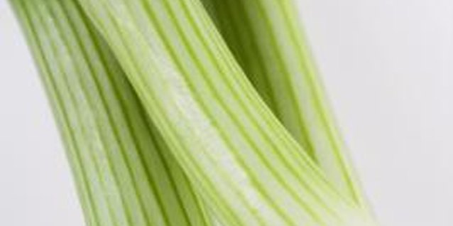 Polka Dot Images/Polka Dot/Getty Images Green onions are often used in salads and often eaten as a garnish.