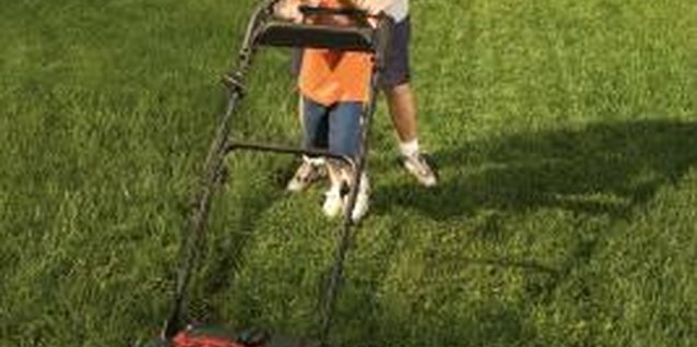 Jupiterimages/Comstock/Getty Images Proper maintenance and care help keep your centipedegrass healthy.
