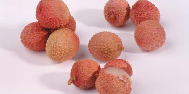John Foxx/Stockbyte/Getty Images An increased yield of lychee fruit is among the rewards of propagation.