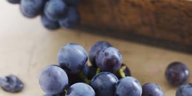 Alexandra Grablewski/Lifesize/Getty Images Growing seedless grapes provides you with healthy snacks.