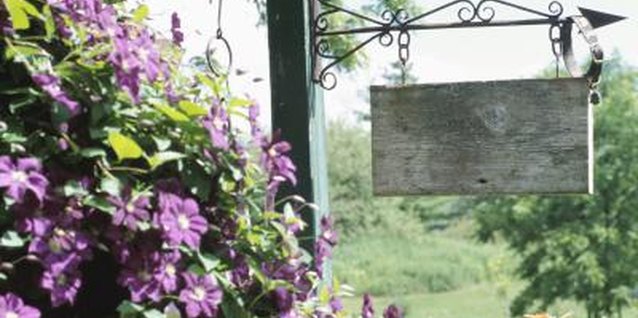 Hemera Technologies/AbleStock.com/Getty Images Offer to trade clematis seeds with a neighbor who has a variety you'd like to grow.