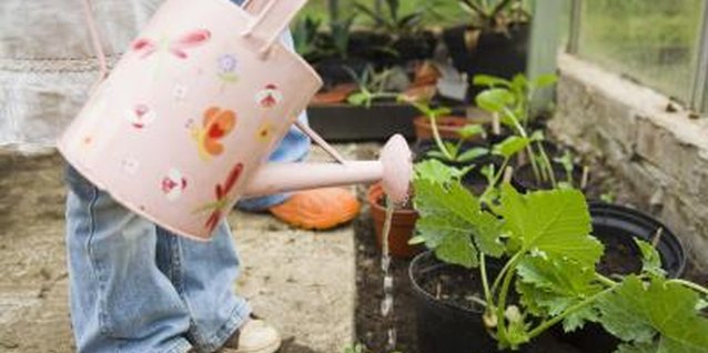 Jupiterimages/BananaStock/Getty Images Rooting hormones improve root development in new plants.