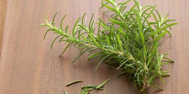 TongRo Images/TongRo Images/Getty Images Indoor rosemary plants provide fresh herbs year-round.