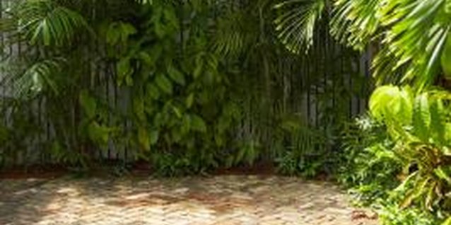 Jupiterimages/Photos.com/Getty Images A brick patio provides a place for outdoor entertaining.