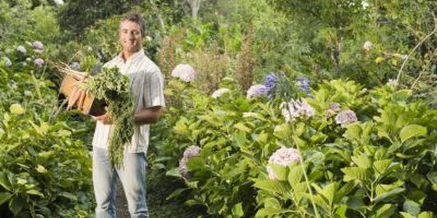Jupiterimages/Pixland/Getty Images When needed, limestone can help establish optimal growing conditions for your garden.