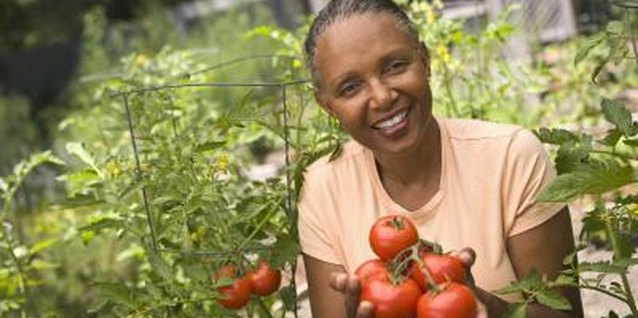 Comstock Images/Comstock/Getty Images Fresh-picked tomatoes can be frozen without blanching.