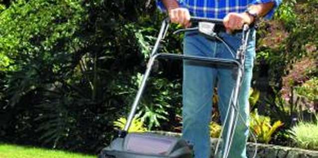 Jupiterimages/liquidlibrary/Getty Images Avoid mowing over aerial tree roots.