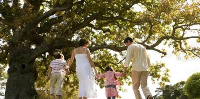 Goodshoot/Goodshoot/Getty Images Go for a family walk and have a picnic in the park.