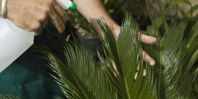 Jupiterimages/BananaStock/Getty Images You can mix up your own pesticide for spider mites to spray on plants.