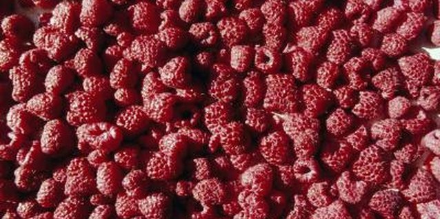 Goodshoot/Goodshoot/Getty Images Propagate raspberries to make new plants.