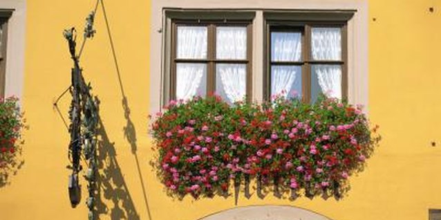 Comstock Images/Comstock/Getty Images Some flowers for window boxes cascade over the side to conceal the container.