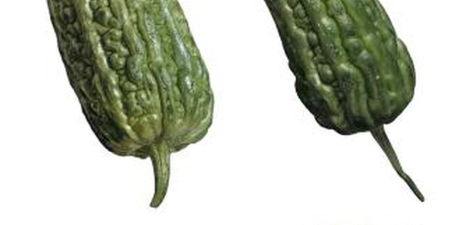 Brand X Pictures/Brand X Pictures/Getty Images Asian bitter cucumber is also known as bitter melon.