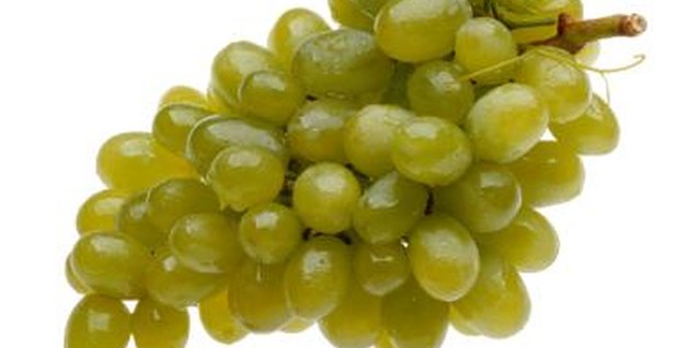 Brand X Pictures/Brand X Pictures/Getty Images Seedless grape (Vitis vinifera) varieties grow in U.S. Department of Agriculture plant hardiness zones 4 though 9, depending on the cultivar.