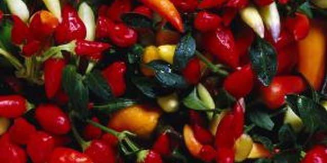 Brand X Pictures/Brand X Pictures/Getty Images Oriental peppers add both color and flavor to food.