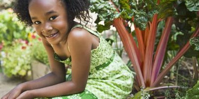 Jupiterimages/Brand X Pictures/Getty Images The kids know just where a raised bed begins and ends.