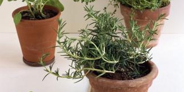 Creatas Images/Creatas/Getty Images Setting flower pots on an old board can help prevent concrete stains.