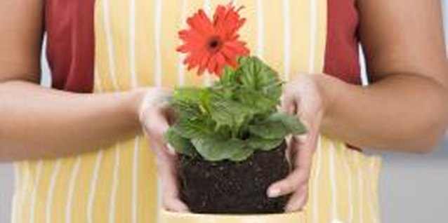 Comstock Images/Comstock/Getty Images Different potting soils may have different uses.