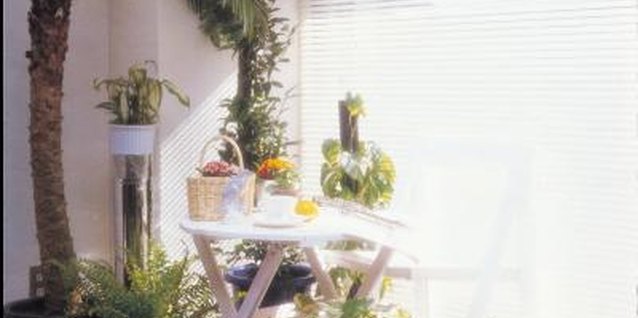 Jupiterimages/Photos.com/Getty Images Plants are often placed indoors for their visual appeal, but their ability to clean the air is another bonus.
