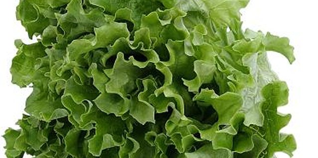 Zedcor Wholly Owned/PhotoObjects.net/Getty Images Hydroponics is ideal for lettuce.