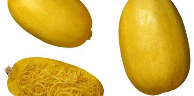 Brand X Pictures/Stockbyte/Getty Images A single spaghetti squash will yield a surprising amount of "pasta."