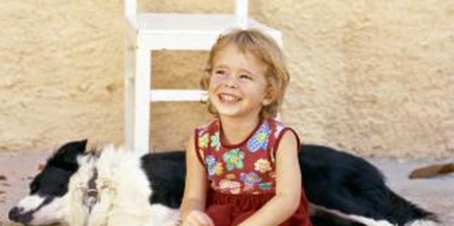 Creatas Images/Creatas/Getty Images Create a Collie's coat with craft bits.